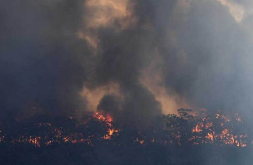 নিউজিল্যান্ড থেকে দেখা যাচ্ছে অস্ট্রেলিয়ার ধোঁয়া