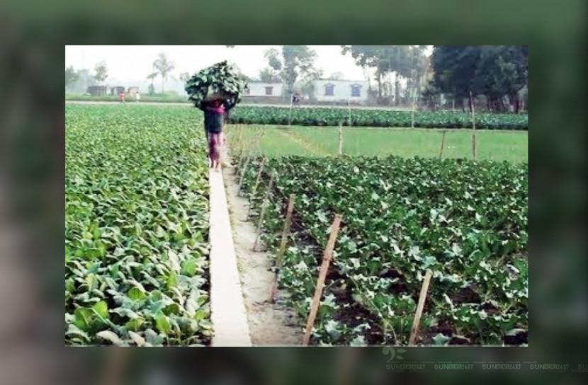 কৃষিতে জায়গা করে নিচ্ছে নতুনত্ব