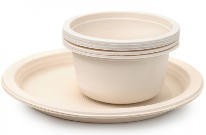 প্লাস্টিকের বিকল্প পরিবেশবান্ধব জৈবপ্লাস্টিক