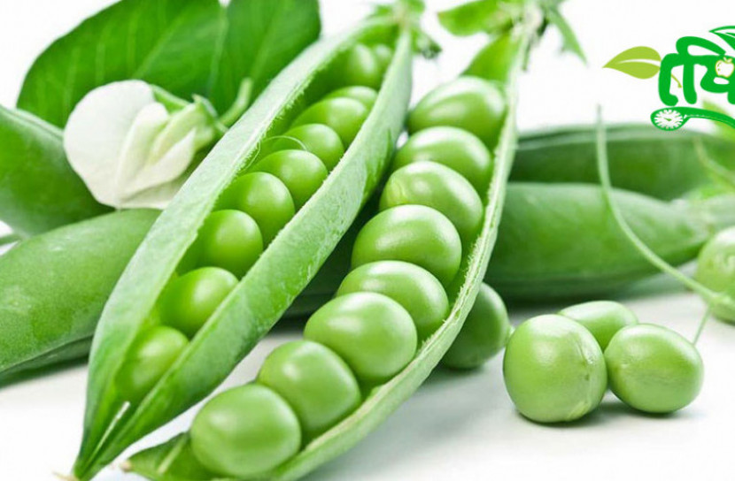 মটরশুঁটির পুষ্টিগুণ