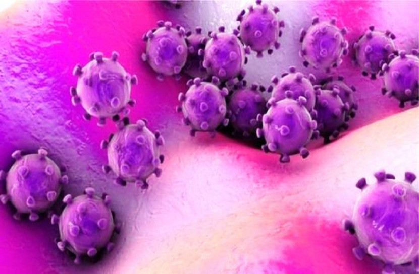 করোনাভাইরাসে সতর্ক বাংলাদেশ