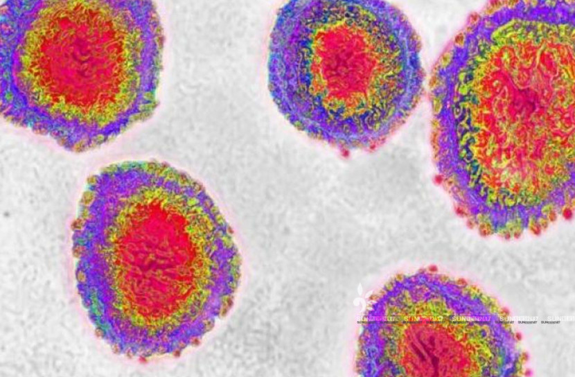 চীনের পাশাপাশি ছড়াচ্ছে অন্যান্য দেশেও