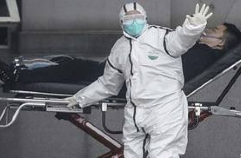 বাদুড় ও সাপ হয়ে মানবদেহে চীনের করোনাভাইরাস !