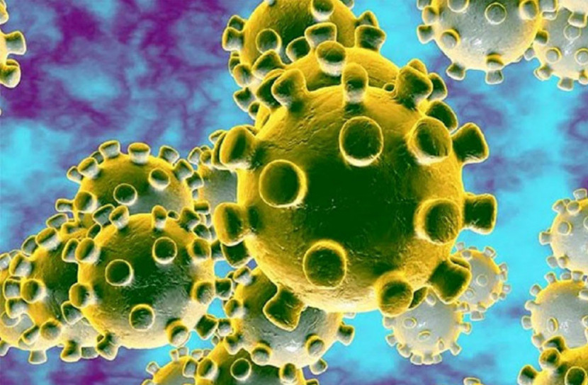 করোনা ভাইরাসে একদিনে প্রাণ গেলো ২৪২ জনের