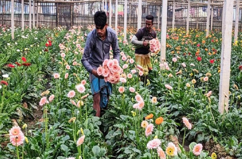 বাসন্তী ভালবাসার উত্তাপ ফুলের বাজারে