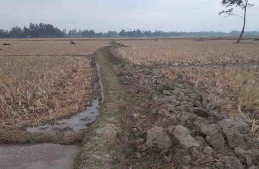 পানির অভাবে বড়পুকুরিয়ায় হুমকির মুখে জীবন ধারণ