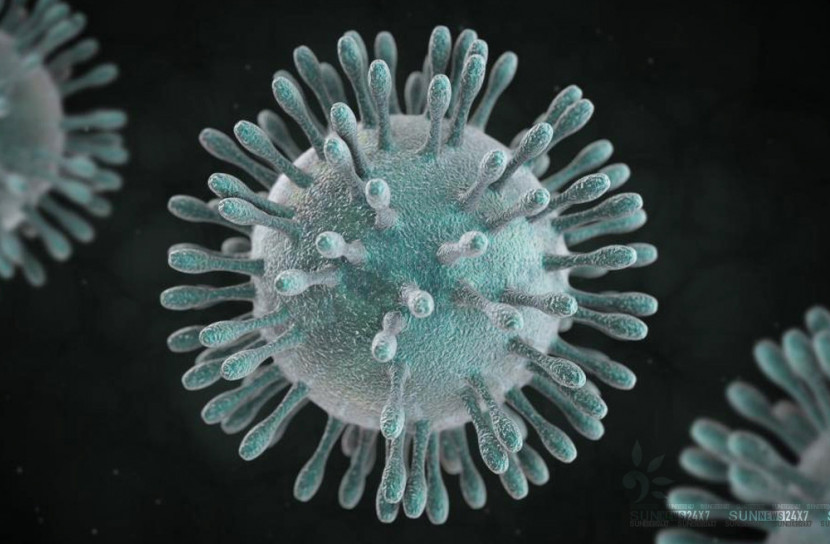 করোনায় সুস্থ হয়ে বাড়ি ফিরেছেন গড়ে ৫৮ জন