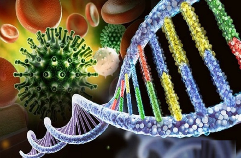 হোম কোয়ারেন্টাইন না মানায় দেশের ২৫ প্রবাসীকে জরিমানা