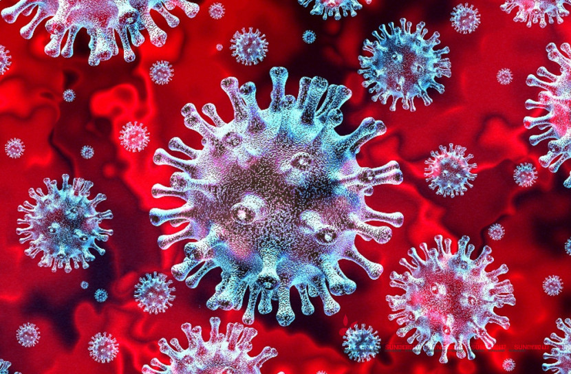 করোনার কারণে বেকার হতে পারে আড়াই কোটি মানুষ: জাতিসংঘ