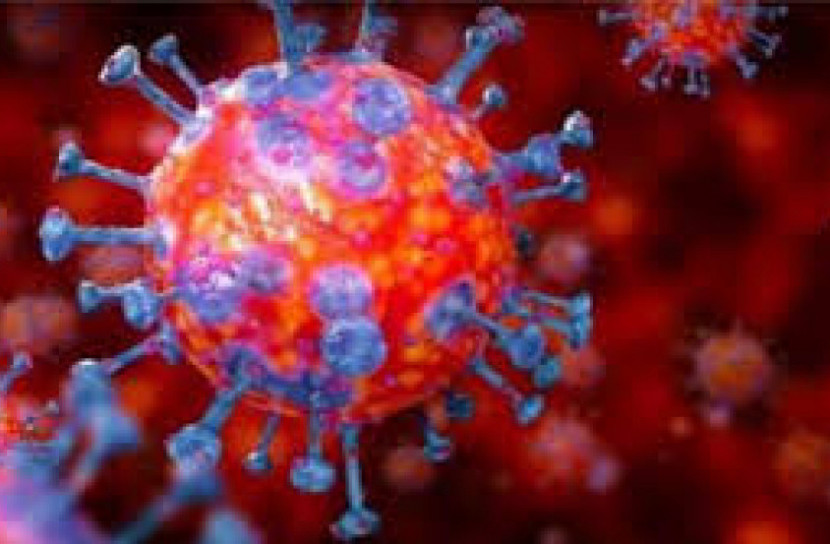 ঢাকায় কুটনীতিকদের জন্য বিশেষ ব্যবস্থা