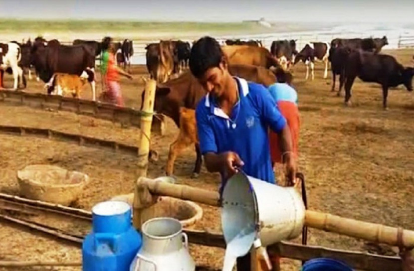 দুধের লিটার পাঁচ টাকা !