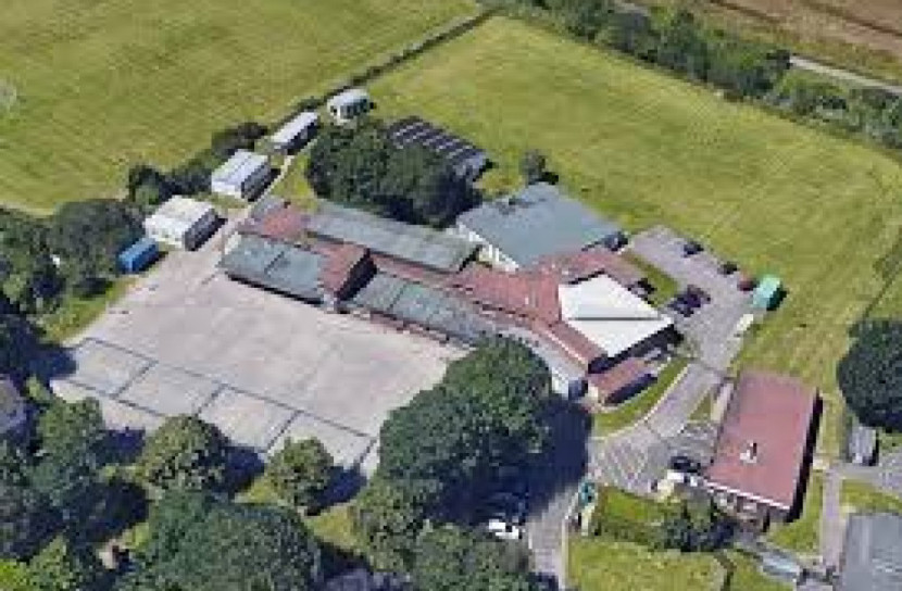 করোনা: মানুষের জীবন দুর্বিষহ হলেও সজীব হচ্ছে প্রকৃতি