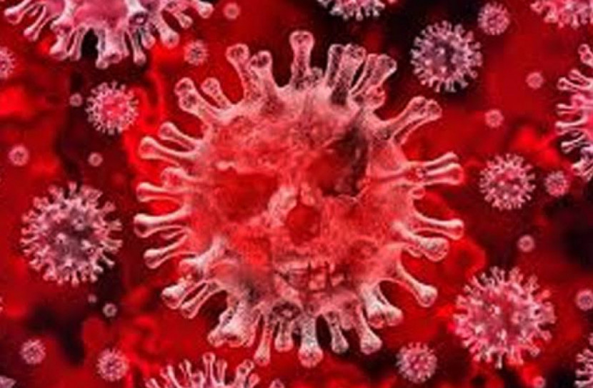 ম্যালেরিয়ার ওষুধ ব্যবহারের অনুমোদন দিলো যুক্তরাষ্ট্র