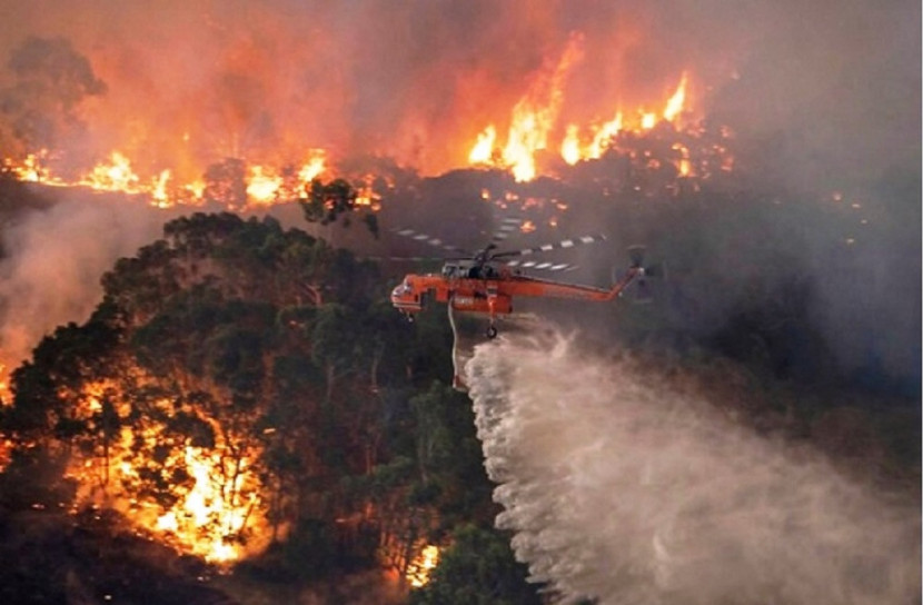 চীনে ভয়াবহ দাবানলে নিহত ১৯