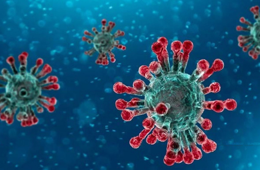 ভারতে ভয়াবহ রূপ নিতে পারে করোনাভাইরাস: মার্কিন সংস্থা