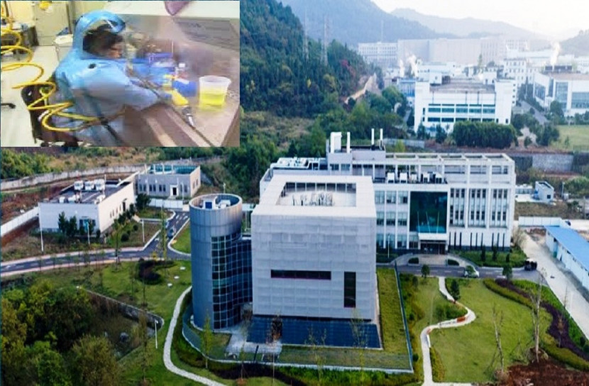 ল্যাবেই করোনাভাইরাস তৈরি করেছিল চীন! 