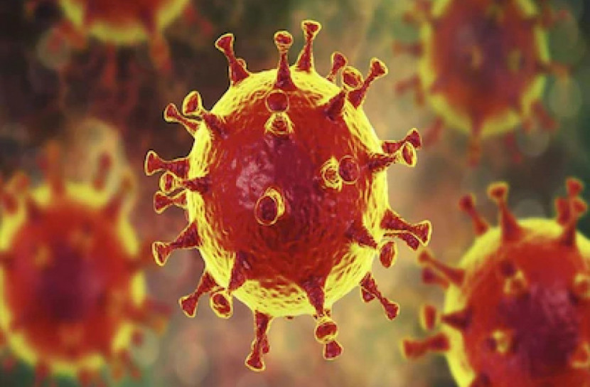 করোনাভাইরাস: শুরু থেকে শেষ