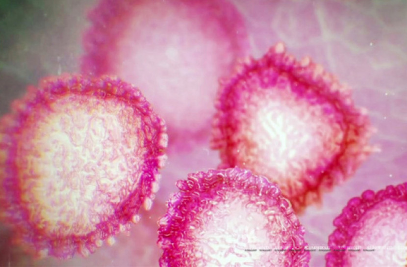 ট্রাক থেকে নামিয়ে দেয়া সেই দিনমজুর করোনায় আক্রান্ত