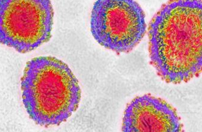 বিশ্বে  মৃত্যু সংখ্যা ৬৮ হাজার ছাড়িয়েছ