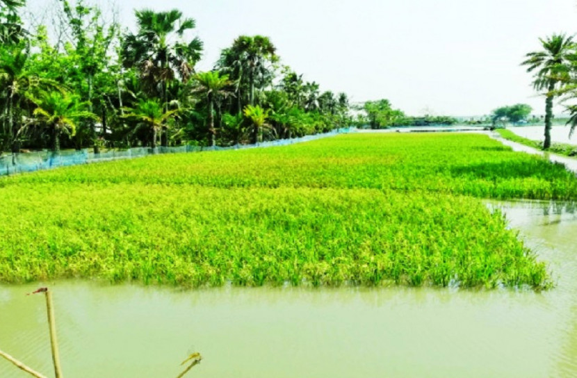 কপোতাক্ষের বাঁধ ভেঙে নিম্নাঞ্চল প্লাবিত