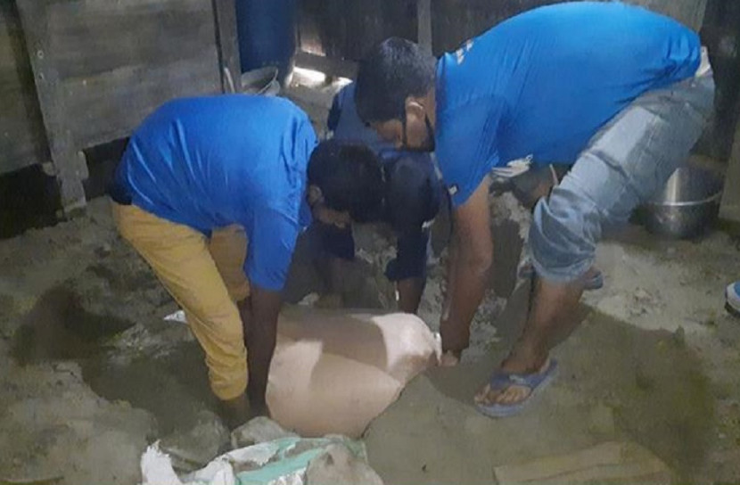 মাটির নিচে সরকারি চাল, মালিক ইউপি সদস্য! 