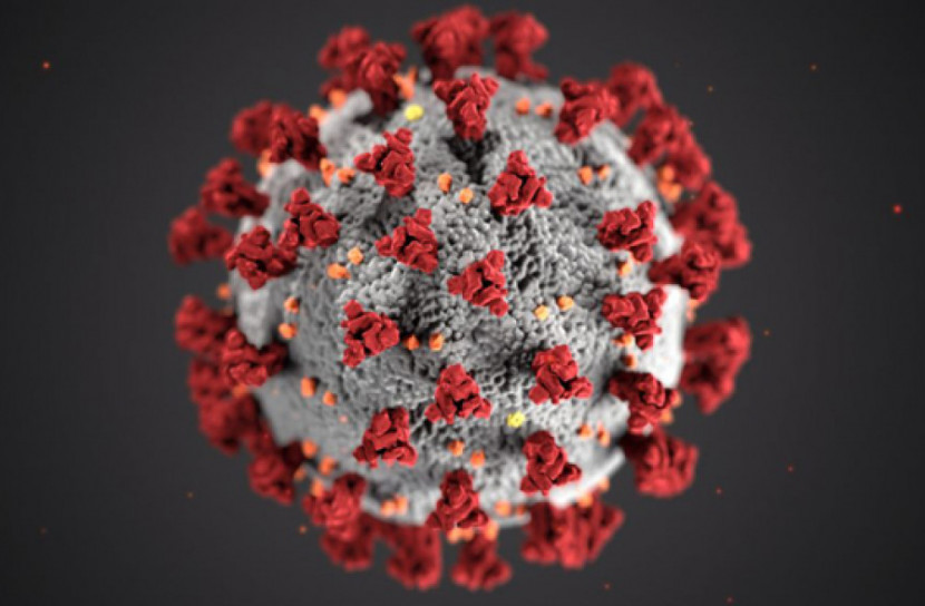 শিগগিরই করোনা শনাক্তে আরও ১১টি পরীক্ষাগার