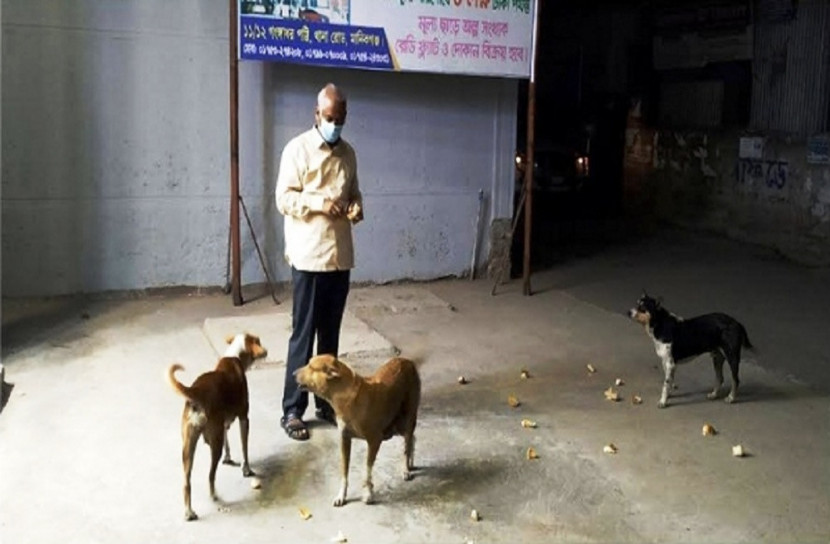 ক্ষুধার্ত কুকুরের পাশে দাঁড়ালেন মানিকগঞ্জের মেয়র
