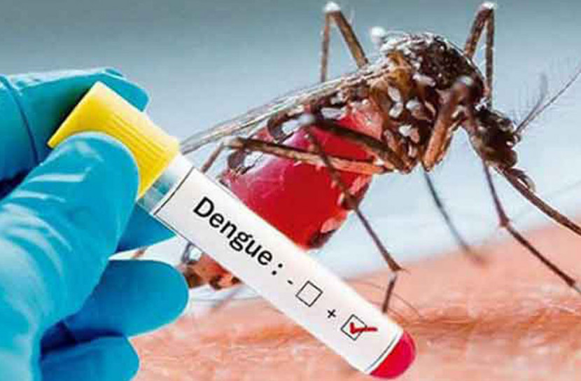 করোনার ঝুঁকির মাঝেই ডেঙ্গুর হানা!