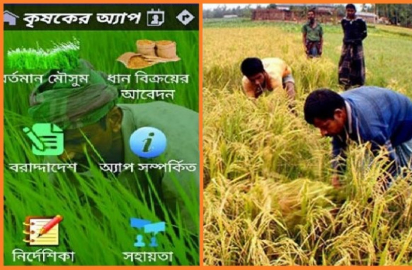 বোরো মৌসুমেও অ্যাপের মাধ্যমে ধান কিনবে সরকার