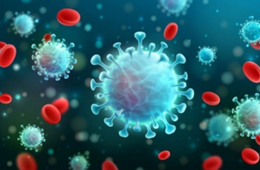 করোনায় আক্রান্ত ২৬ লাখ, মৃত্যু ১ লাখা ৮২ হাজার