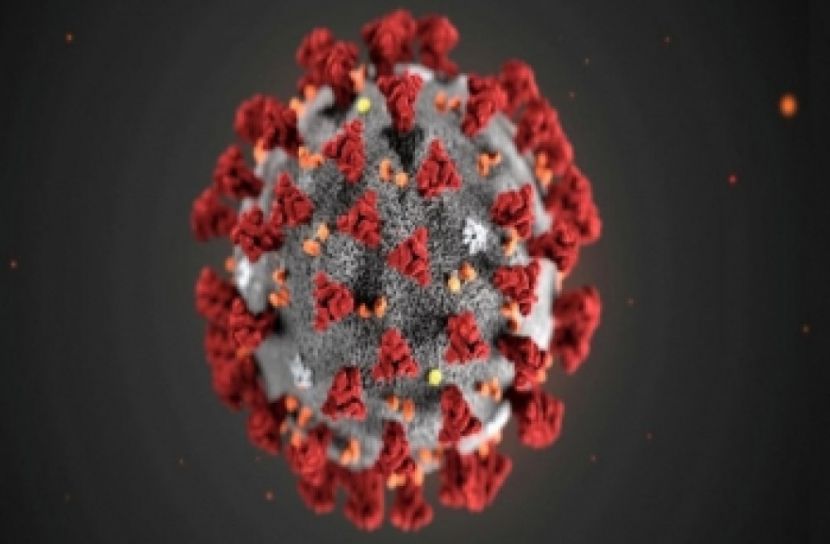 এখনও যে চার জেলা করোনা মুক্ত