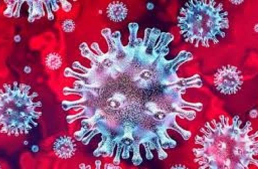দুই বছর চলবে করোনার বৈশ্বিক মহামারি!