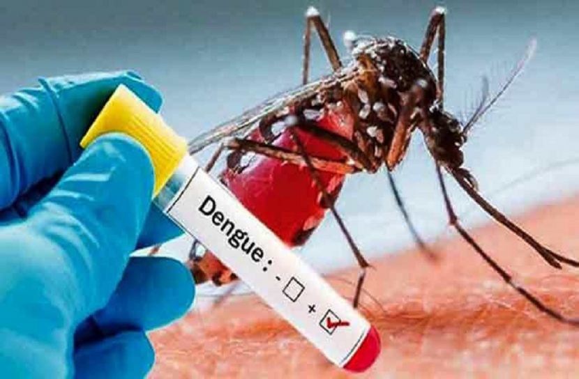 ১০ মে থেকে ডেঙ্গু নিধন অভিযান