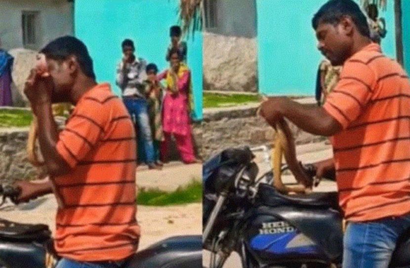 আমার রাস্তা আটকাস বলেই সাপকে কামড়ে টুকরো টুকরো!