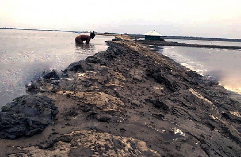 পানির চাপে বাঁধগুলো ভাঙতে শুরু করেছে