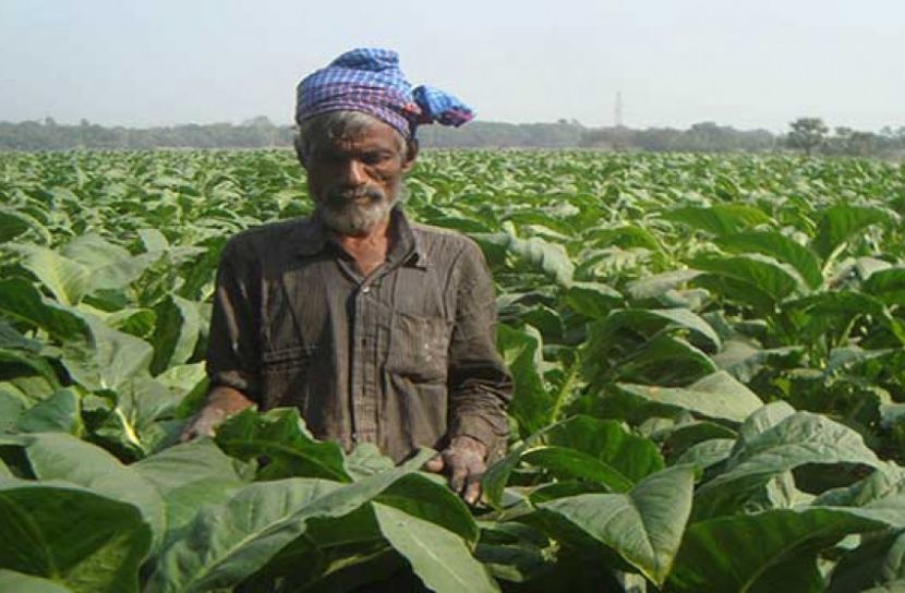 তামাকজাত পণ্য বিক্রি বন্ধের প্রস্তাব শিল্প মন্ত্রণালয়ের নাকচ