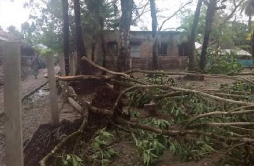 গাছ পড়ে মা-মেয়ের মৃত্যু