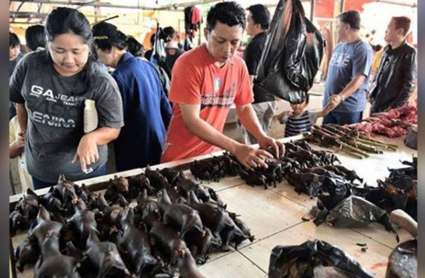 উহানে নিষিদ্ধ হলো বন্যপ্রাণী খাওয়া