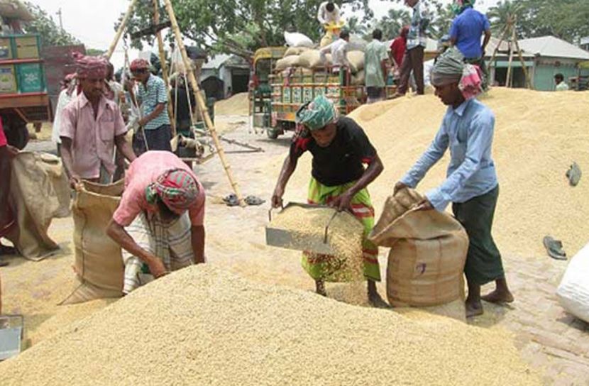 সিলেট থেকে  ধান-চাল কেনার প্রক্রিয়া শুরু