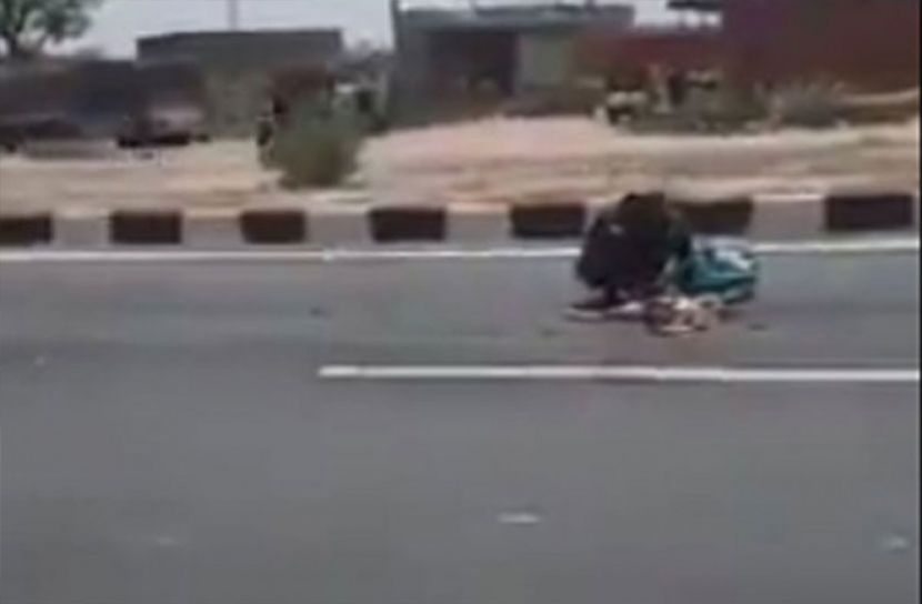 ক্ষুধার জ্বালায় মরা কুকুরের মাংস খাচ্ছে মানুষ!