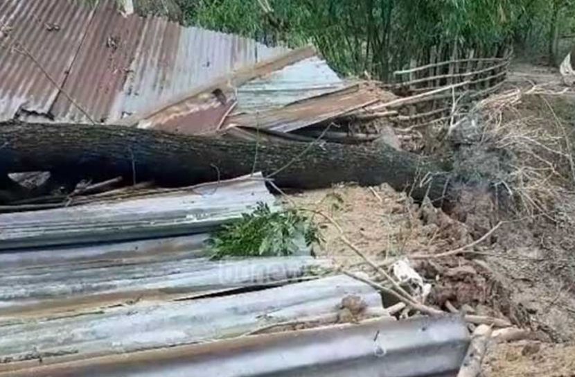 জয়পুরহাটে ঝড়ে ৪ জনের মৃত্যু