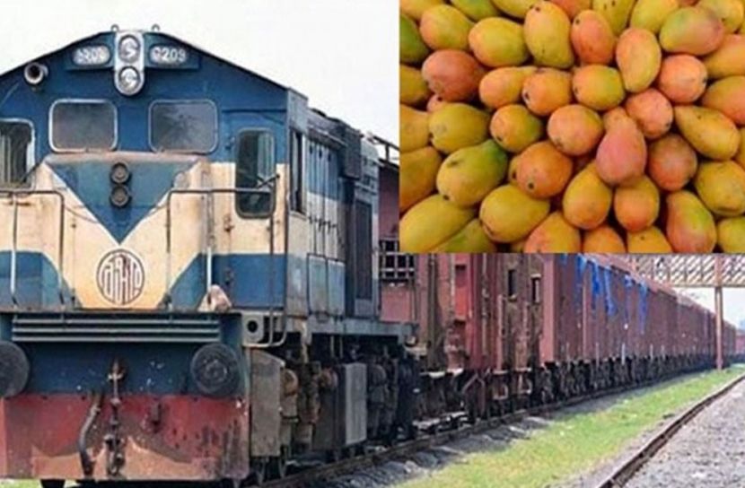 আম পরিবহনে বিশেষ ট্রেন ‘ম্যাংগো স্পেশাল’