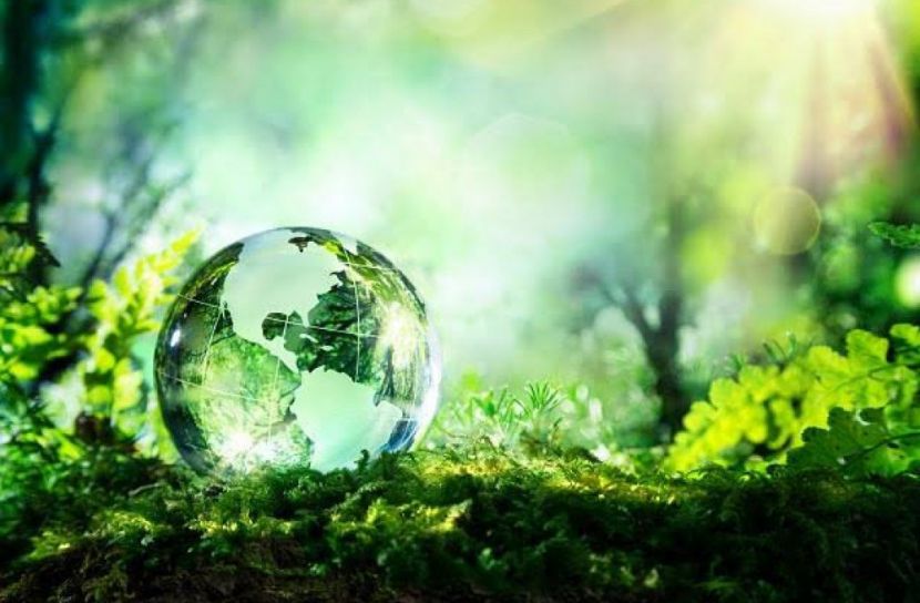 পুনর্জন্ম প্রকৃতিকে নিয়ে এবারের পরিবেশ দিবস