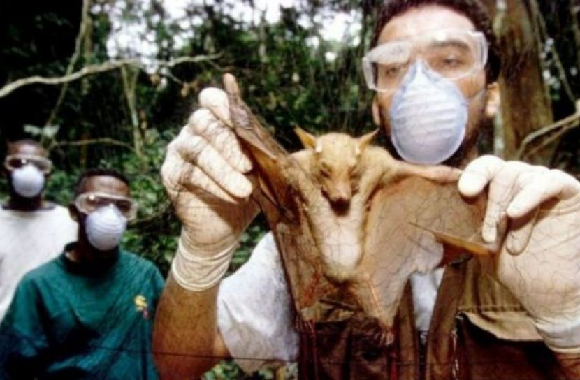 আরো মহামারি আসছে!