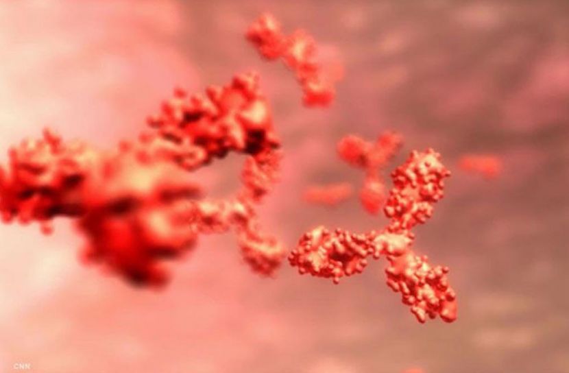 চীনে হিউম্যান ট্রায়াল শুরু