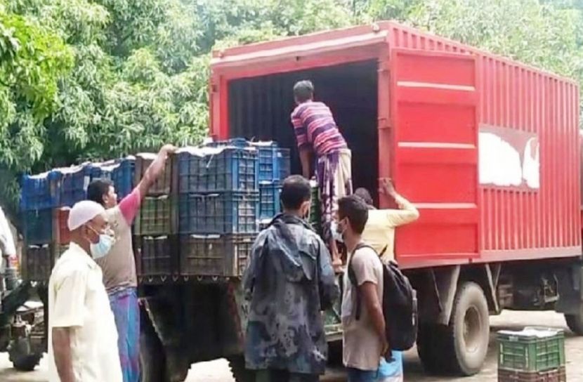 কৃষি পণ্য পরিবহনে প্রস্তুত হচ্ছে ডাক বিভাগ: মোস্তাফা জব্বার