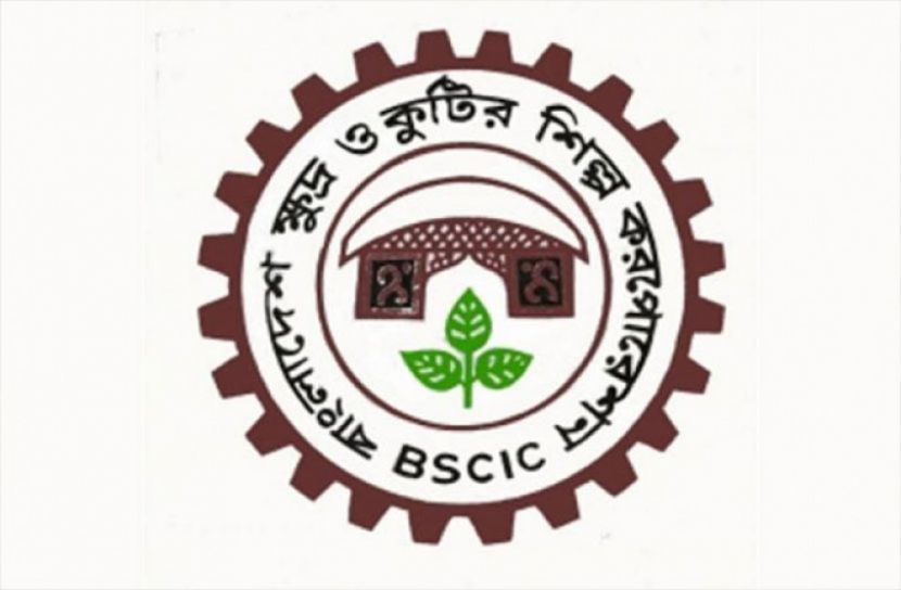 লবণ আমদানির প্রয়োজন নেই, মজুত পর্যাপ্ত: বিসিক