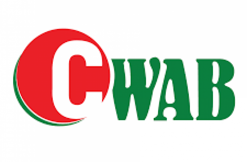 ক্রিকেটারদের সাথে কোয়াবের ভিডিও কনফারেন্স