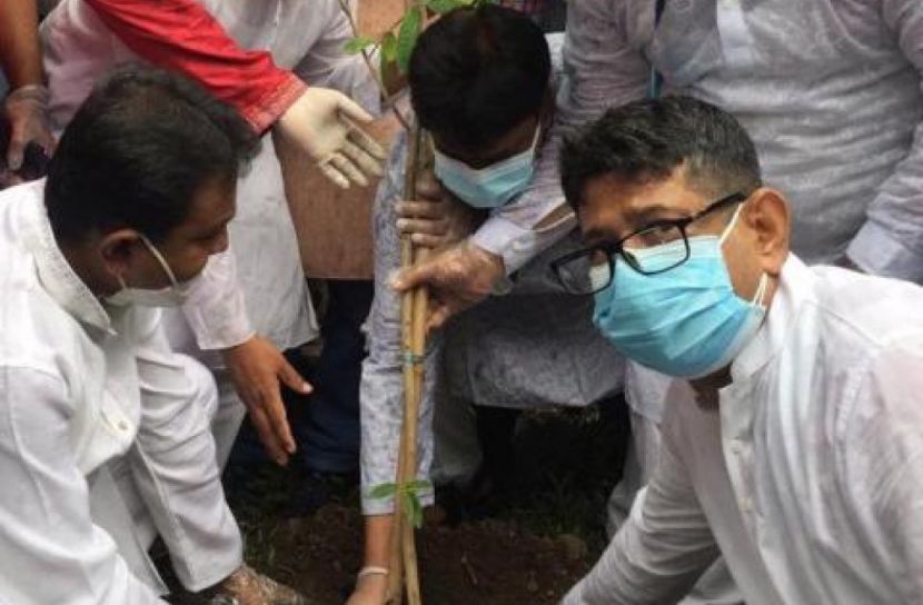 স্বেচ্ছাসেবক লীগের বৃক্ষরোপন কর্মসূচী