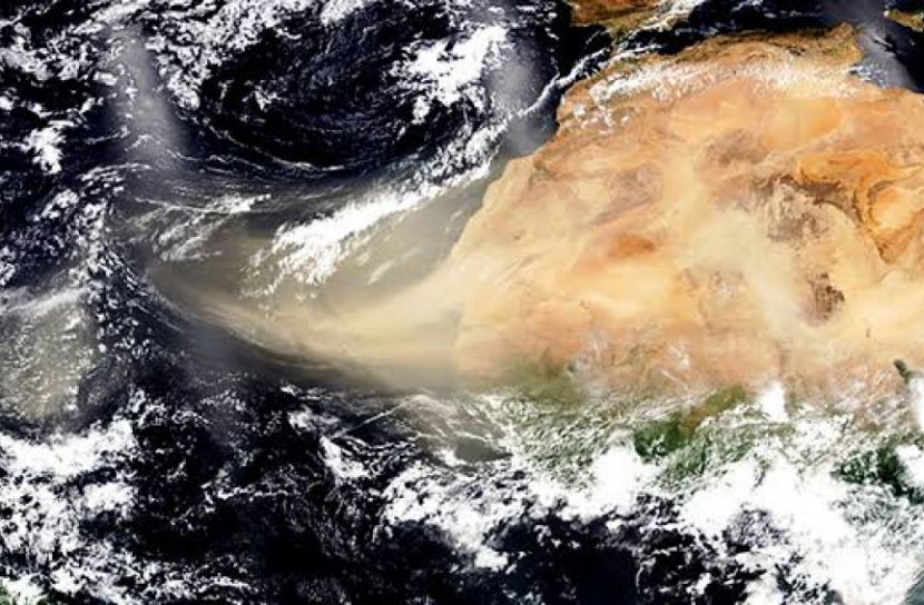 ভয়ঙ্কর ধুলো ঝড় ধেয়ে আসছে!